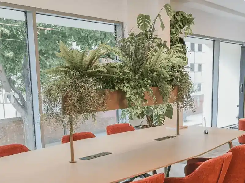 Planter box shelf fitted to a meeting table for biophilic planting