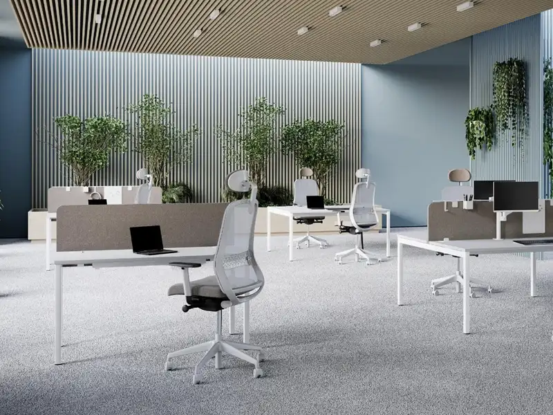 Modern minimal office desks with dividing screens