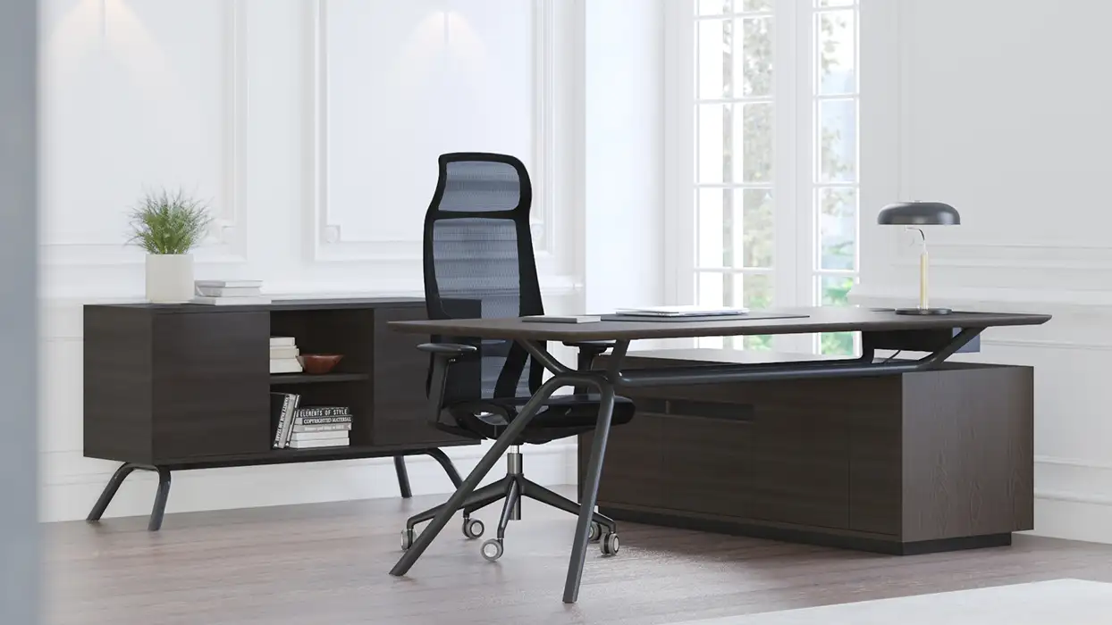 Arqus Desk wit hstorage credenza