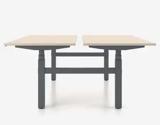 eModel 2 height adjustable desk