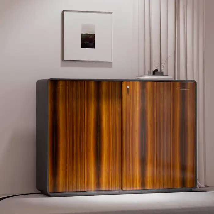 eRange cabinets in a bespoke custom finish with black frame