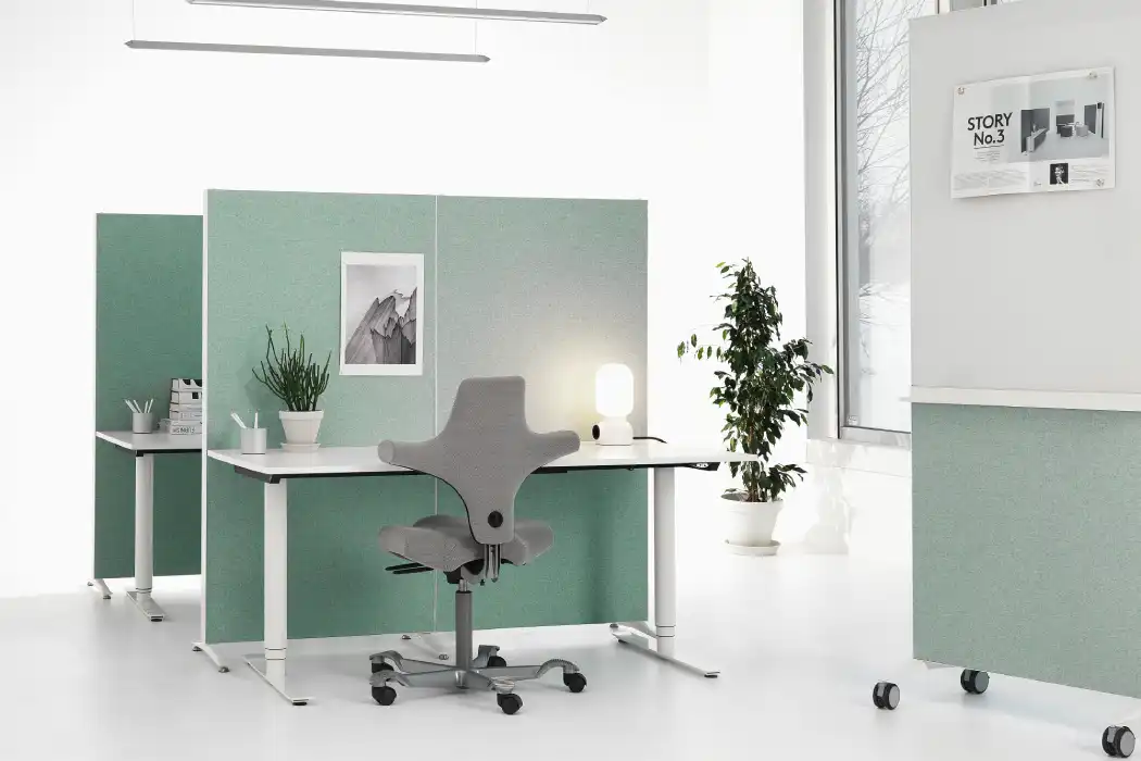 Alumi and Combi Screens in office Alumi screens behind desks