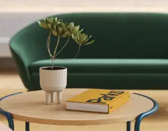 Ever green sofa with coffee table