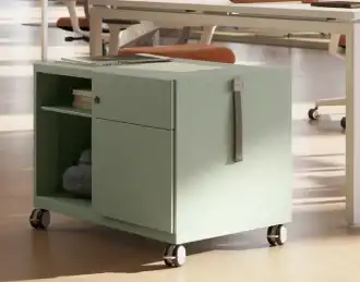 Personal mobile office caddy