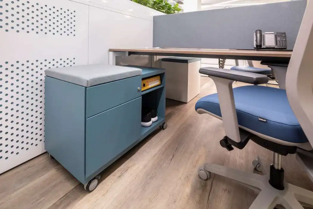 Mobile Office Caddy with seat pad