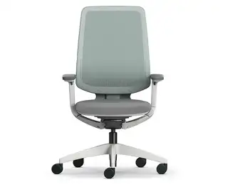Task chairs with mesh backrest and adjustable arms