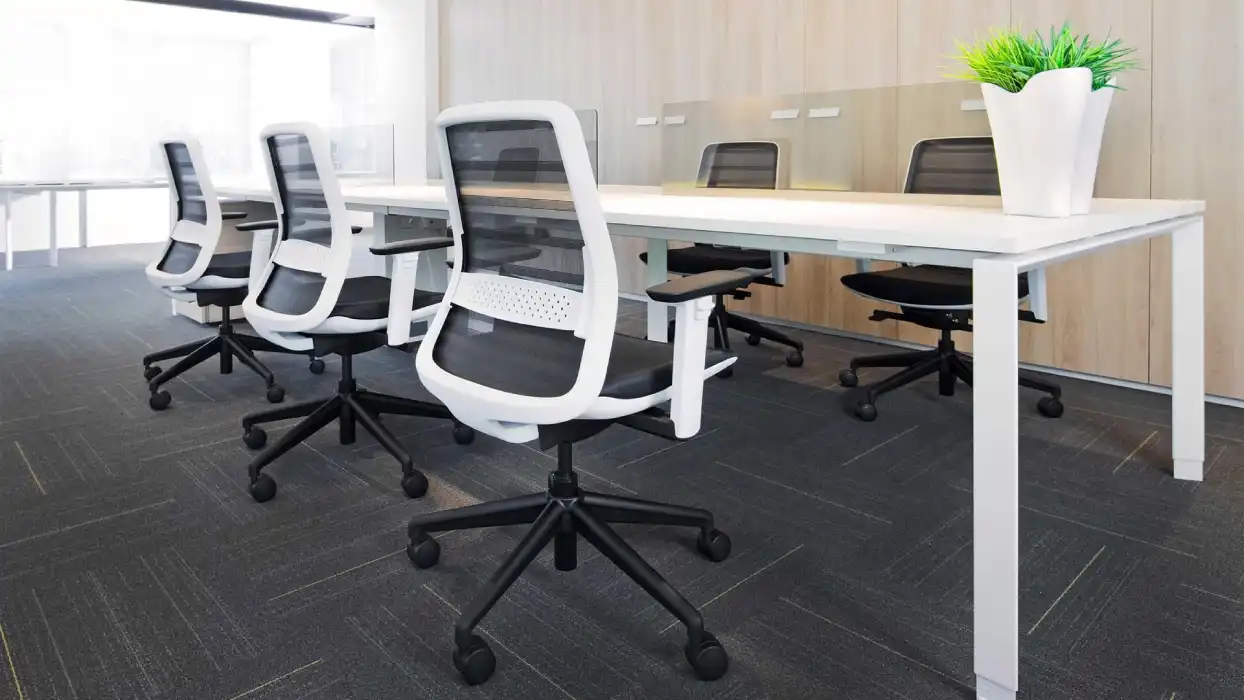 Tonique Chairs with white frames and lumbar support